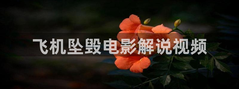 星空影视电影在线观看免费高清：飞机坠毁电影解说视频