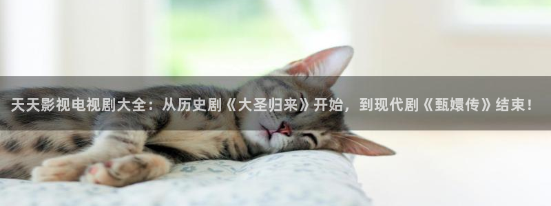 星空影视app最新版下载安装