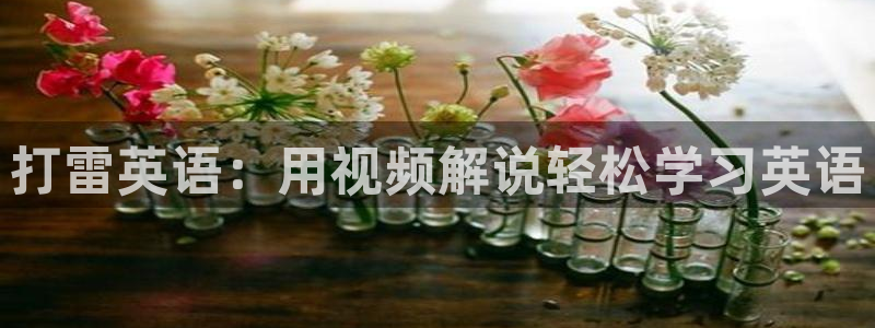 星空影院在线观看电视剧免费播放电视剧：打雷英语：用视频解说轻松学习英语